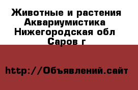 Животные и растения Аквариумистика. Нижегородская обл.,Саров г.